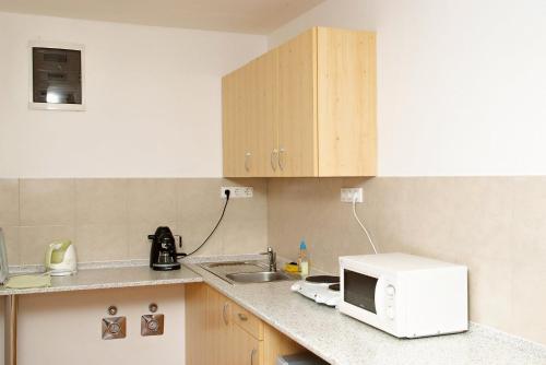 a kitchen with a sink and a microwave at Liszt Apartman in Pécs