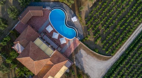 an overhead view of a resort with a pool in a vineyard at Aneli Luxury Villas-Villa Anastasia in Áyios Kírikos