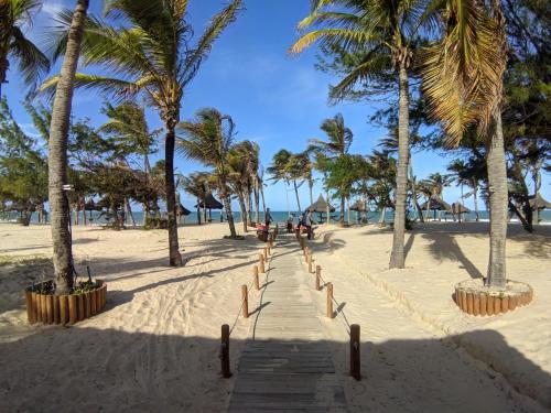 a sandy beach with palm trees and a boardwalk at VG Sun Cumbuco Sea Breeze Vista Mar in Cumbuco
