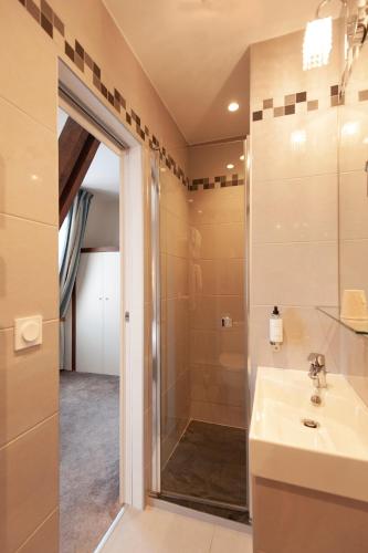 une salle de bain avec douche et lavabo dans l'établissement Hotel France Albion, à Paris
