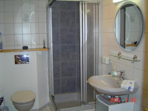bagno con doccia, lavandino e servizi igienici di Ferienwohnung-im-Haus-Christine a Riedlhütte