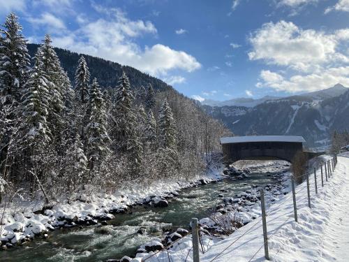 a river covered in snow with a bridge and trees at SMART Apartments Mellau in Mellau