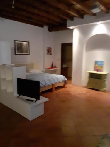 a bedroom with a bed and a tv in it at Agriturismo Cipolli e Podò Corte Carlini in Mantova