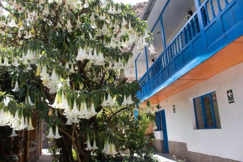 a tree with white flowers in front of a building at Las Portadas in Ollantaytambo