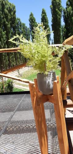 a potted plant sitting on top of a wooden bench at Balcon de Antares in Uspallata