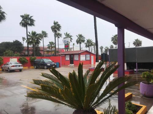 a palm tree in a parking lot in front of a gas station at COSTA MAR in Ensenada