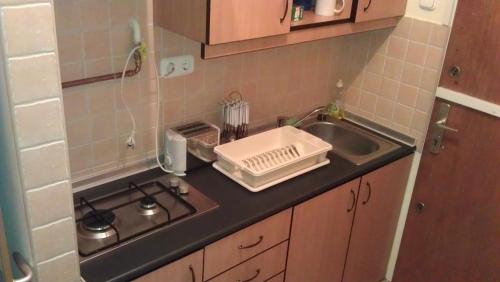 una encimera de cocina con fregadero y una tabla de cortar en ella en Budapest Flat Rent, en Budapest