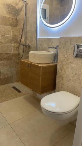 bagno con servizi igienici, lavandino e specchio di Melissa Home a Vatra Dornei