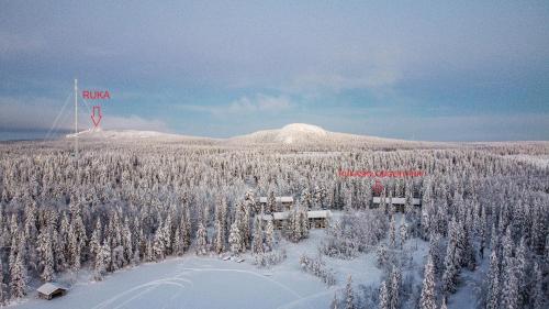 une vue aérienne sur une forêt enneigée avec un cerf-volant dans l'établissement RUKA Skilodge Ihtinki, two bedrooms (Free Wi-Fi), à Ruka