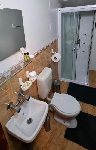 a bathroom with a toilet and a sink at The Green King in Borovets