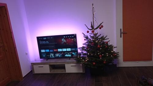 TV a/nebo společenská místnost v ubytování FeWo An der Elpe zwischen Winterberg und Fort Fun