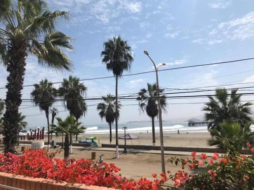 widok na plażę z palmami i kwiatami w obiekcie Bungalows Cerro Azul w mieście Cerro Azul