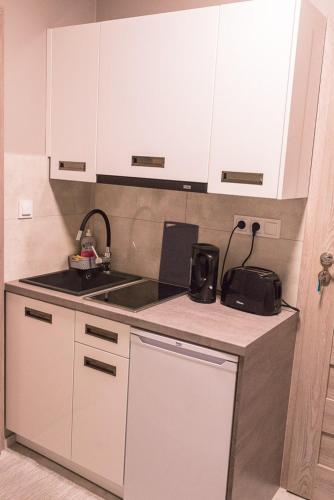 a kitchen with white cabinets and a sink at Willa Borowski in Barlinek