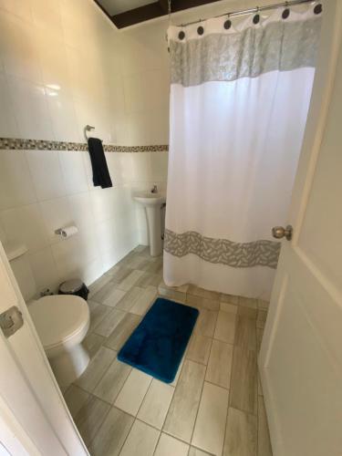 W łazience znajduje się toaleta oraz prysznic z niebieskim dywanem. w obiekcie Ecoraleo w mieście Concepción