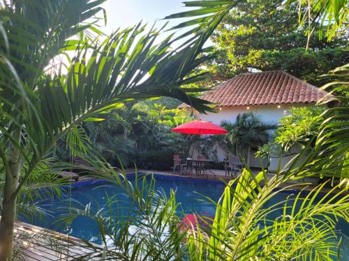 a resort with a pool and a red umbrella at Hostal Hilltop Palomino in Palomino