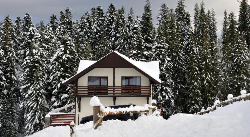 a house covered in snow in front of trees at Котедж у горах "Місце Сили" in Vorokhta