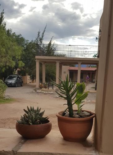 Κήπος έξω από το Terraza del Molle