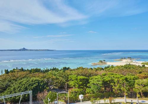 een luchtzicht op de oceaan en een strand bij Royal View Hotel Churaumi in Motobu