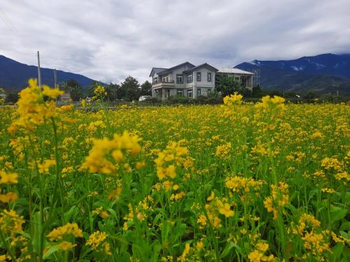 a house in the middle of a field of yellow flowers at Ode to Mansions B&B in Chishang