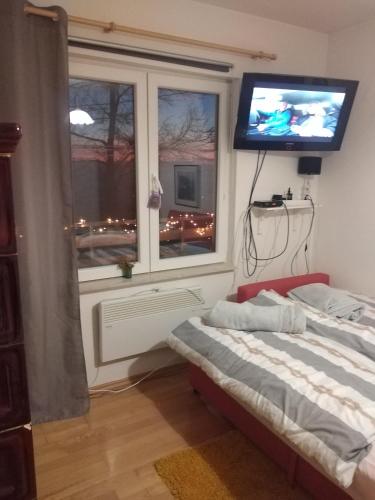 a bedroom with a bed and a television on a window at Holiday Home Nature Plesivica in Jastrebarsko