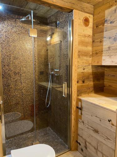 a bathroom with a glass shower with a toilet at Rascard Monterosa in Champoluc