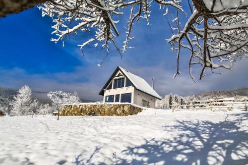Top House – Fotos 2