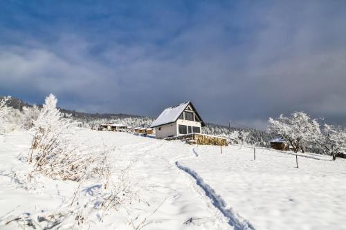 Top House – Fotos 3