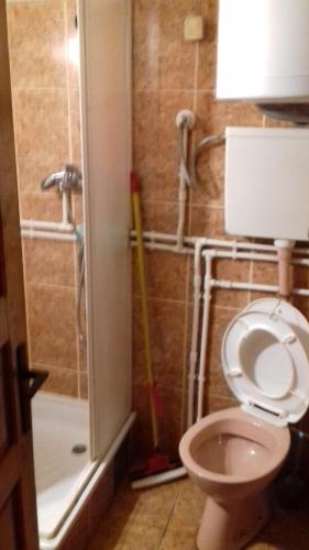 een badkamer met een toilet en een douche bij Vikend Kuca Milica in Kopaonik