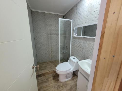 Un baño con inodoro, ducha y lavabo. en Departamentos Del Lago, en Licán Ray