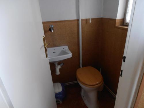 a small bathroom with a toilet and a sink at Penzion u České Koruny in Jičín