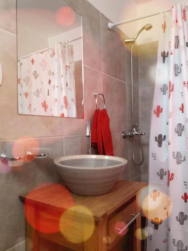 a bathroom with a bowl sink and a shower at Zonda hostel cultural in Lago Puelo