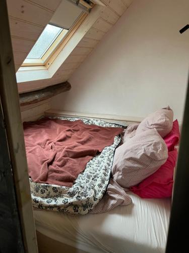 a small bed in a tiny house with a window at B&B Driel in Driel
