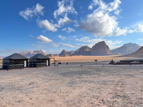 a view of the desert with mountains in the background at Shakria Bedouin Life Camp in Wadi Rum