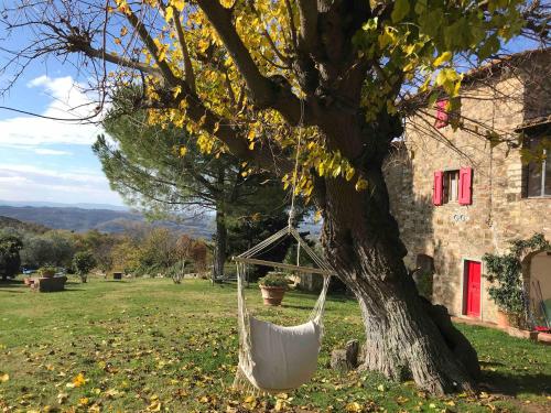 a hammock hanging from a tree in a yard at Il Fiorino di Badia in Badia A Passignano