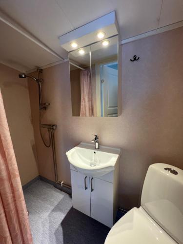 een badkamer met een witte wastafel en een spiegel bij Smedens Stugby in Smedjebacken