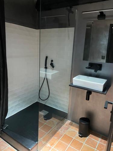 a bathroom with a shower and a sink at Studio au Moulin " Design Noir " Vue Unique in Dole