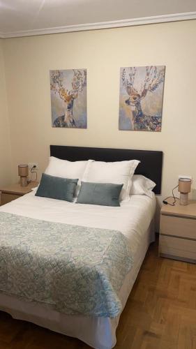 1 dormitorio con 1 cama con 2 cuadros en la pared en Apartamento Parque del Oeste en Oviedo
