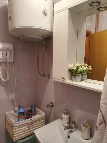 uma casa de banho com um lavatório e um espelho em Apartman "MILLAN 2" em Prijedor