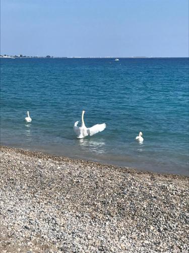 Hôtel Bleu Riviera – Photos 5