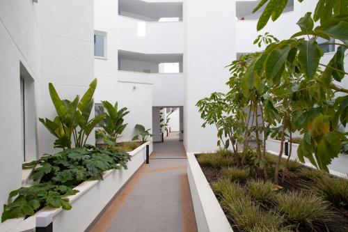 a corridor of an office building with plants at SUNNY BEACH APARTMENT IN CALACEITE in Torrox Costa