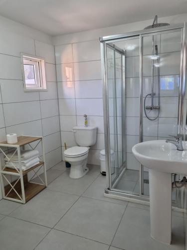 een badkamer met een douche, een toilet en een wastafel bij Aruba SeaScape Apartments in Palm-Eagle Beach