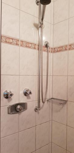 a shower with a glass door and a shower head at Pension Kroth an der Mosel in Briedel