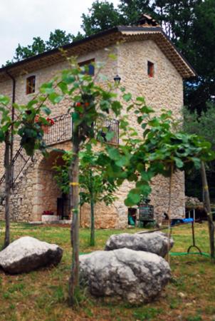 a stone house with a tree and rocks in front of it at B&B Casal Cominium in San Donato Val di Comino