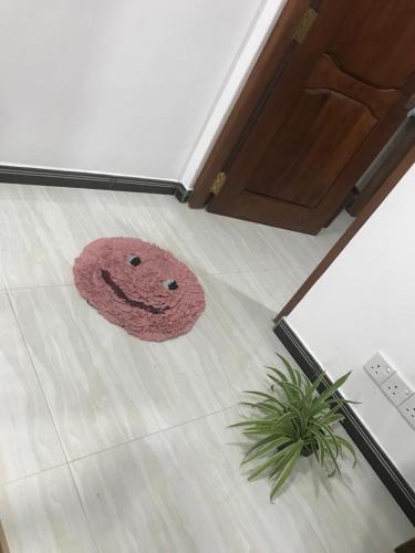 a pink rug with a smiley face on the floor at Sunnyplace Guest Mirissa in Mirissa
