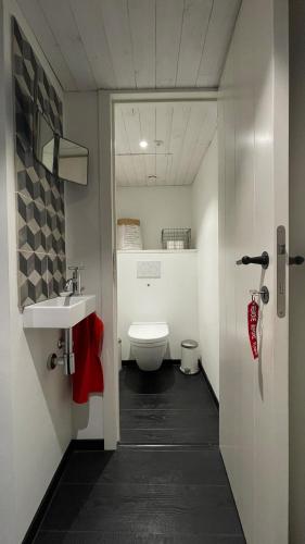 une salle de bain avec toilettes et lavabo dans l'établissement St Malo Intra-muros duplex 2 chambres Wifi haut débit à 3 min des plages, à Saint-Malo