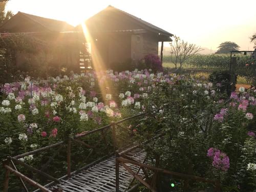 Ein Garten an der Unterkunft Pang Chompu