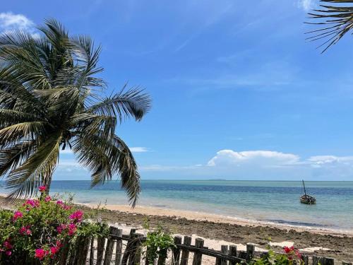 a beach with a palm tree and a boat in the water at Ebony Beach in Vilanculos