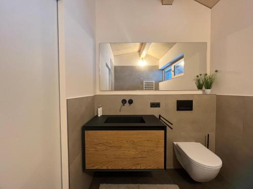 a bathroom with a sink and a toilet and a mirror at River Lodge in Dornbirn