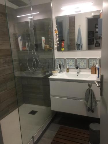 un baño con lavabo y ducha en T3 Saint Cyr sur Mer 83270, en Saint-Cyr-sur-Mer