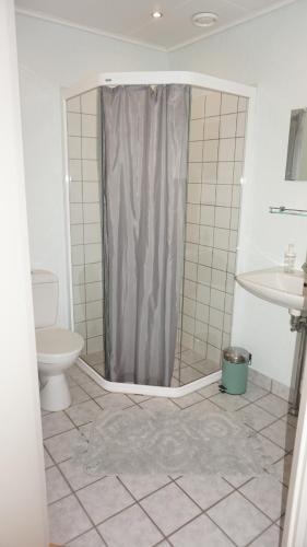 La salle de bains est pourvue d'une douche, de toilettes et d'un lavabo. dans l'établissement Børglum Mejeri Hotel, à Børglum
